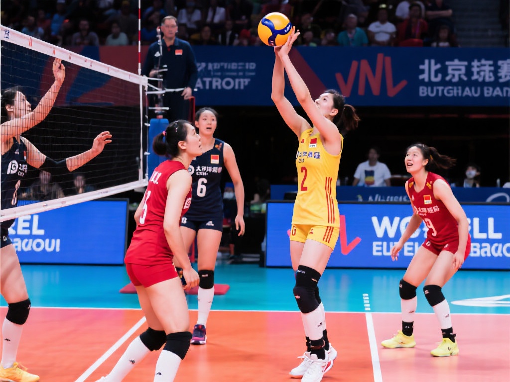 提供了一个 提供了一个